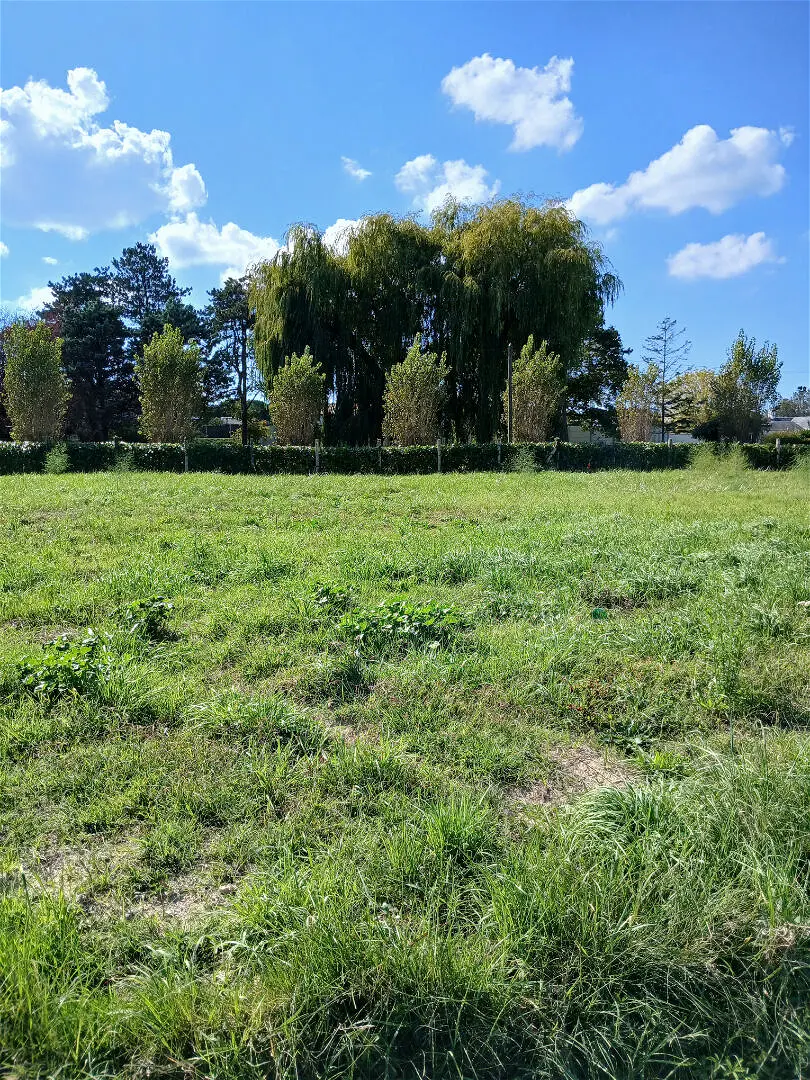 Achat terrainà SAINT JEAN DE MONTS