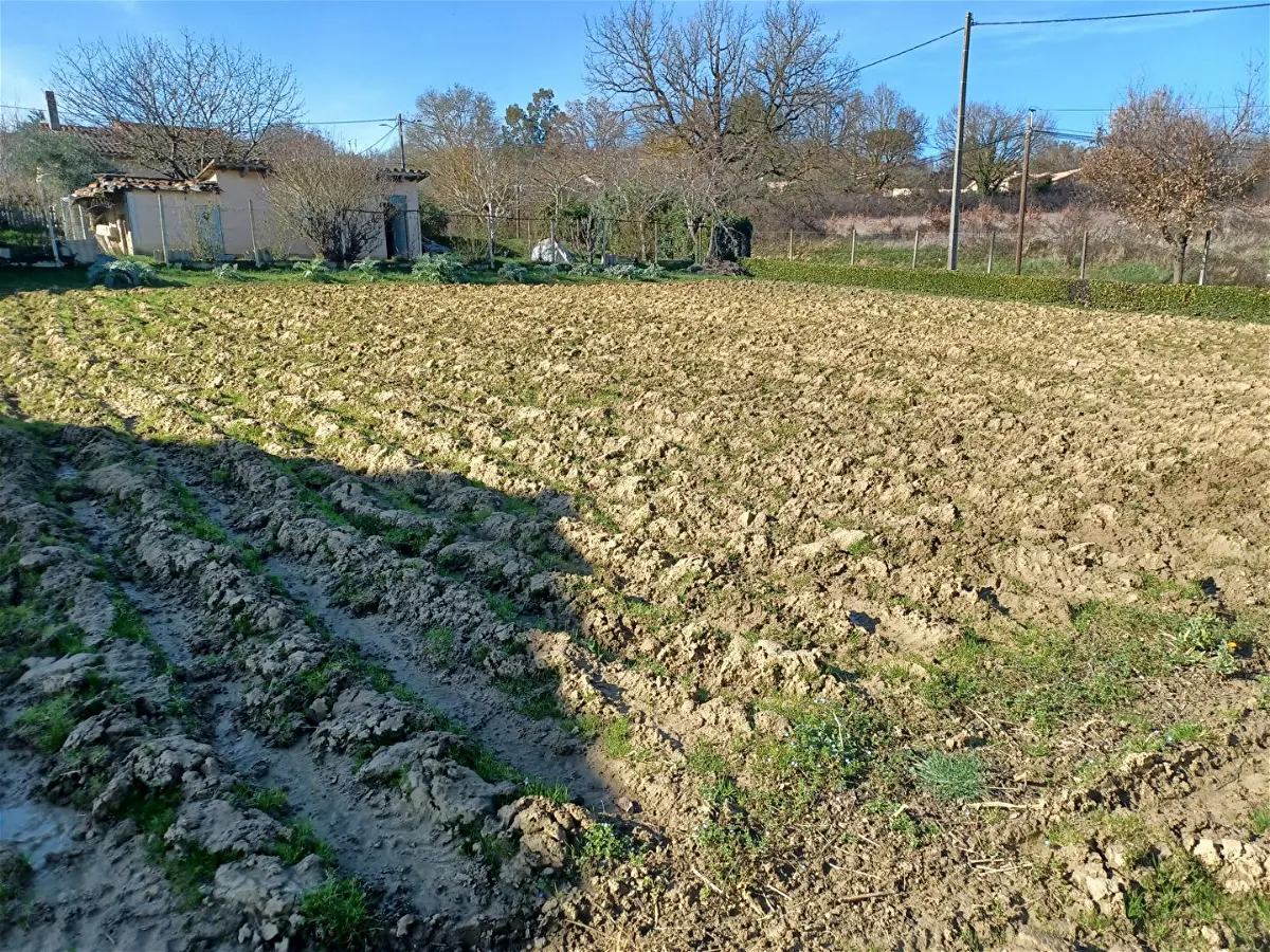 Achat terrainà SAINT PAUL SUR SAVE