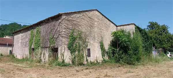 Achat maison 1 pièce - 195m² à St pey de castets (33350)