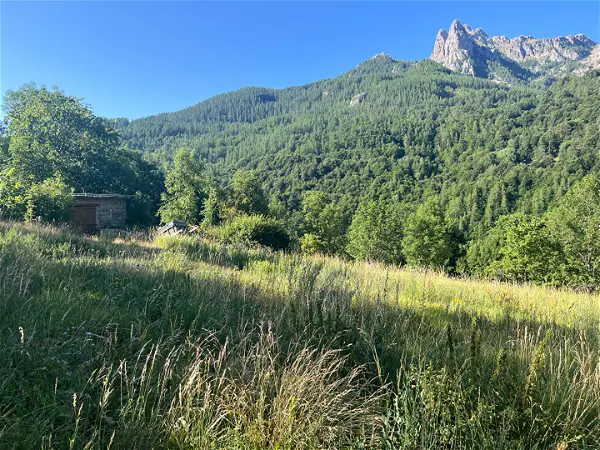 Terrain à vendre - REALLON - 671 m²