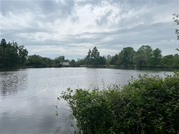 Achat terrain à Saulge (86500)