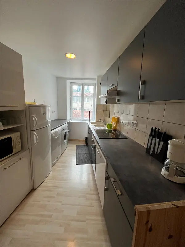 Location appartement 1 pièce - 23.65m² à Lavelanet (09300)