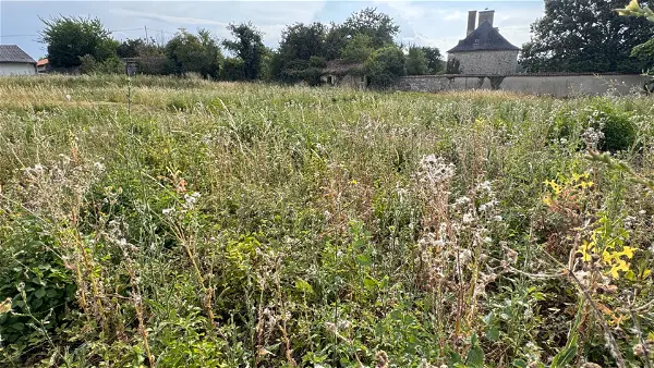 Terrain à vendre - MONTAMISE - 1090 m²