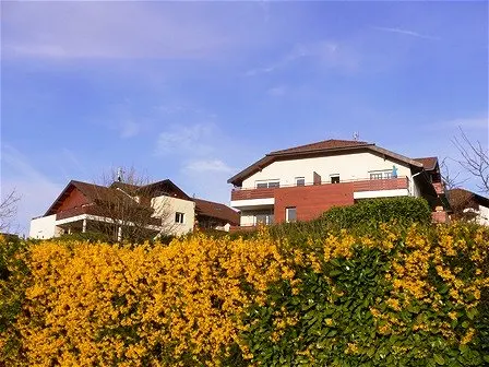 Appartement à louer - SEYNOD, 3 pièces