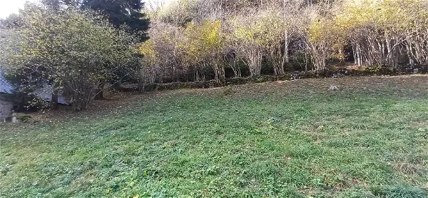 Terrain à vendre - GABAS - 539 m²