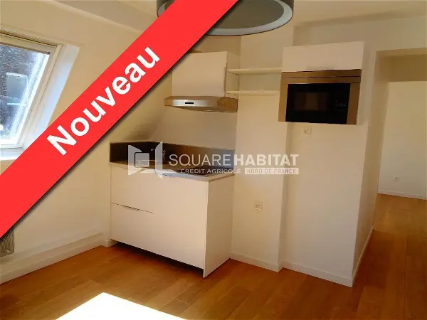 Appartement à louer - Lille, 1 pièce