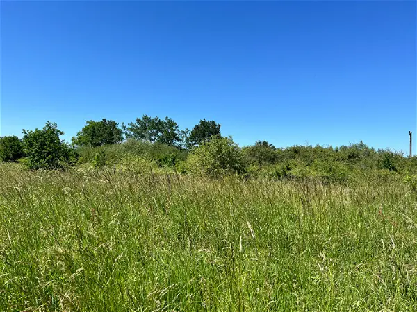 Achat terrain - 5089m² à Saint martin d abbat (45110)