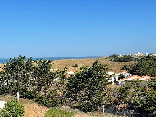 Appartement à vendre - SAINT HILAIRE DE RIEZ, 2 pièces