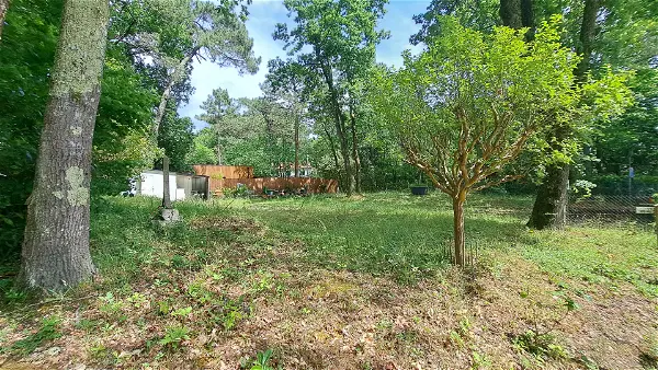 Terrain à vendre - SAINT PALAIS SUR MER - 450 m²