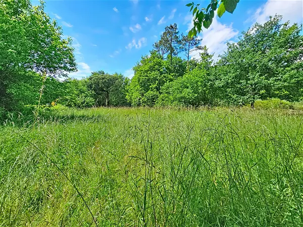 Achat terrain - 1863m² à Sanguinet (40460)