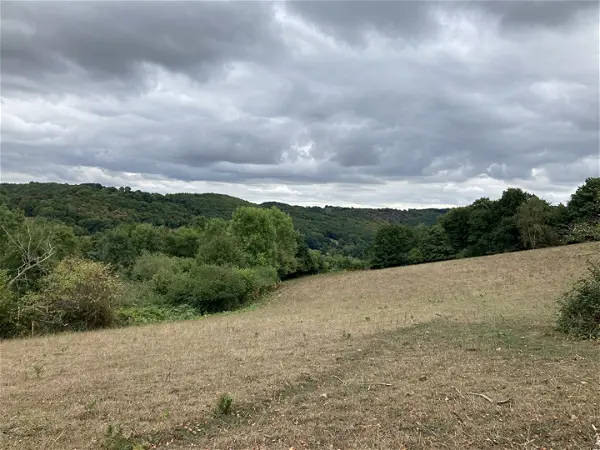 Achat terrain - 24341m² à Athis val de rouvre (61100)