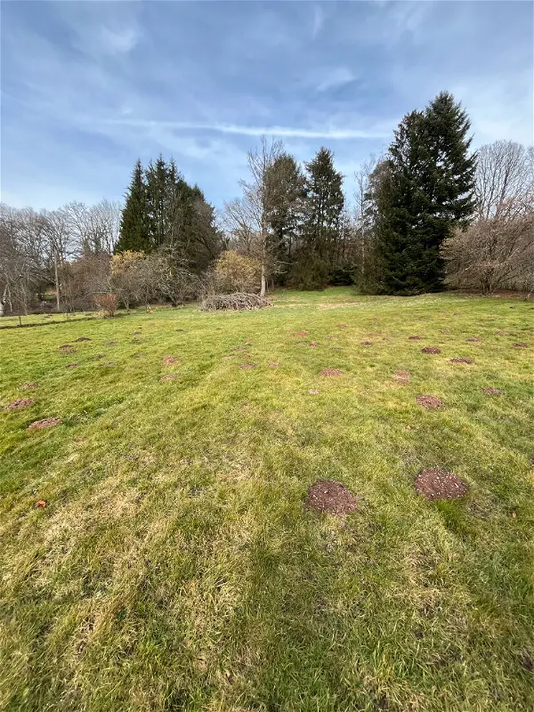 Achat terrain - 5260m² à Evette salbert (90350)