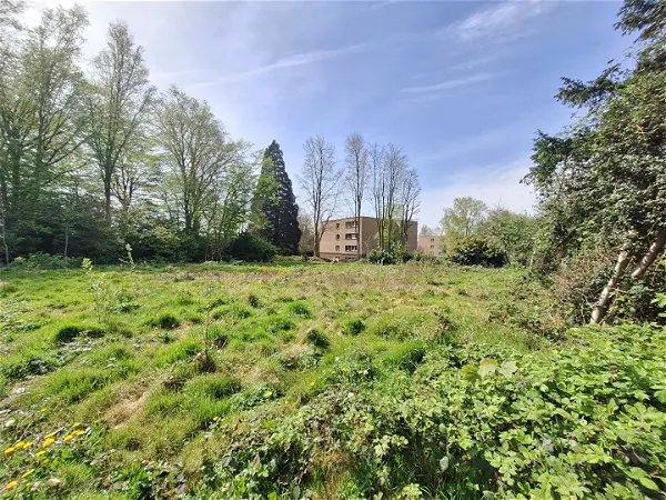 Terrain à vendre - LONGUEVILLE SUR SCIE - 1040 m²