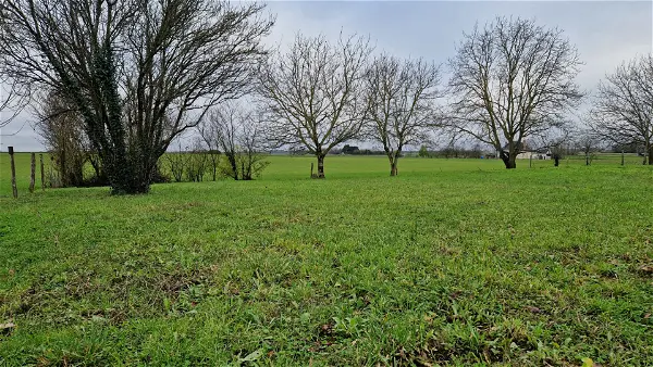 Terrain à vendre - DOLUS LE SEC - 1198 m²