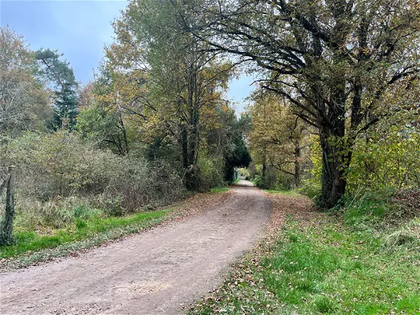 Maison à vendre - TIGY, 9 pièces