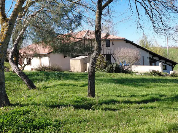 Achat maison 11 pièces - 295m² à Mauvezin (32120)