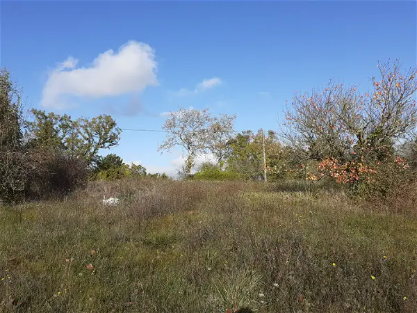 Achat terrain - 2925m² à Cadours (31480)