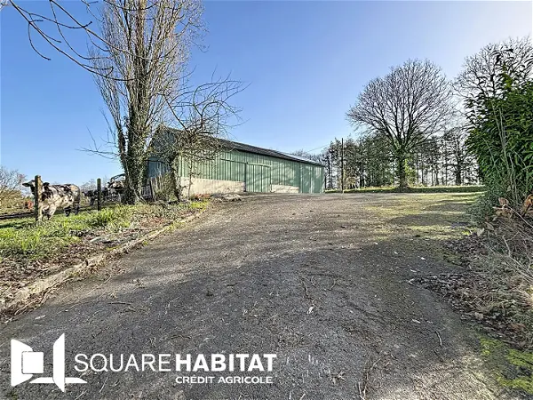 Terrain à vendre - LA CHAPELLE JANSON - 231 m²