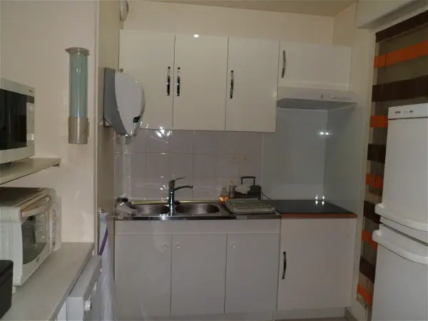 Appartement à louer - Lyon 7e Arrondissement, 1 pièce