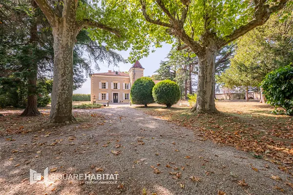 Maison à vendre - LAPEYROUSE MORNAY, 11 pièces