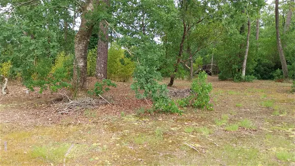 Terrain à vendre - SAINTE HELENE - 1690 m²