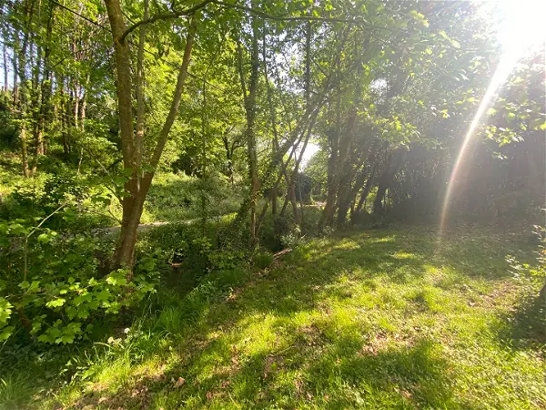 Achat maison 7 pièces - 130m² à Hasparren (64240)
