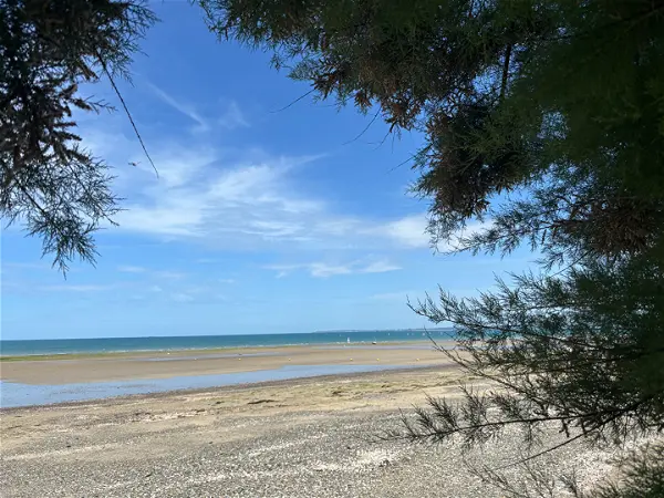 Achat maison 6 pièces - 148m² à Plerin (22190)