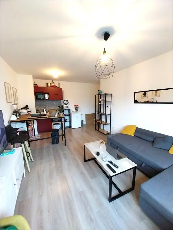 Appartement à louer - LES SORINIERES, 2 pièces