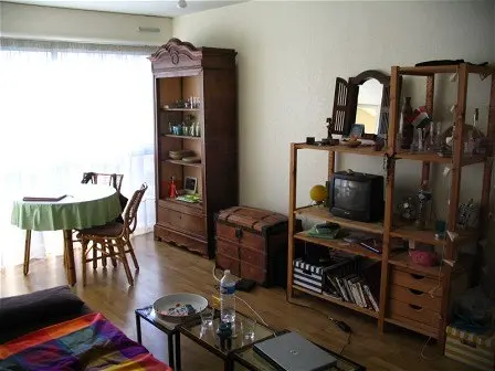 Appartement à louer - ORLEANS, 1 pièce