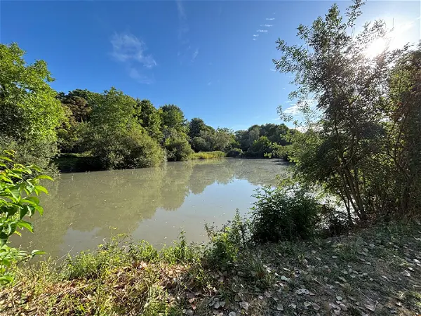 Achat terrain à Saint sauveur (86100)