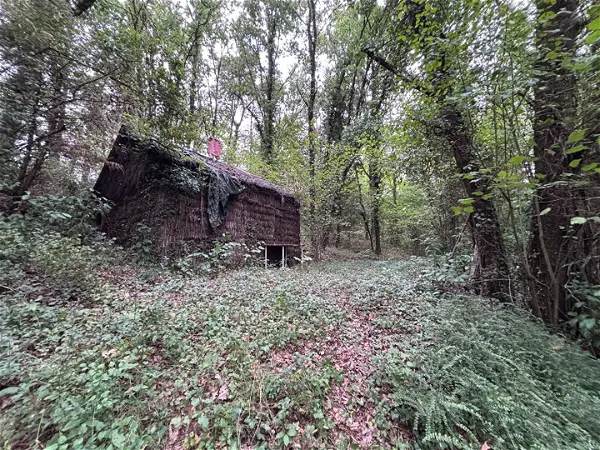 Terrain à vendre - ST EPAIN - 5794 m²