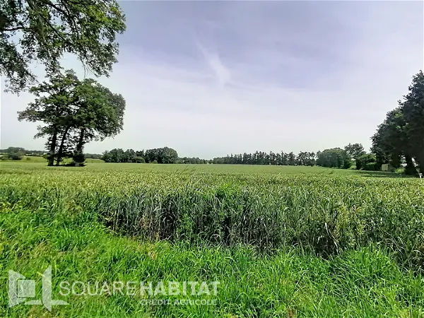 Terrain à vendre - PIPRIAC - 1614 m²