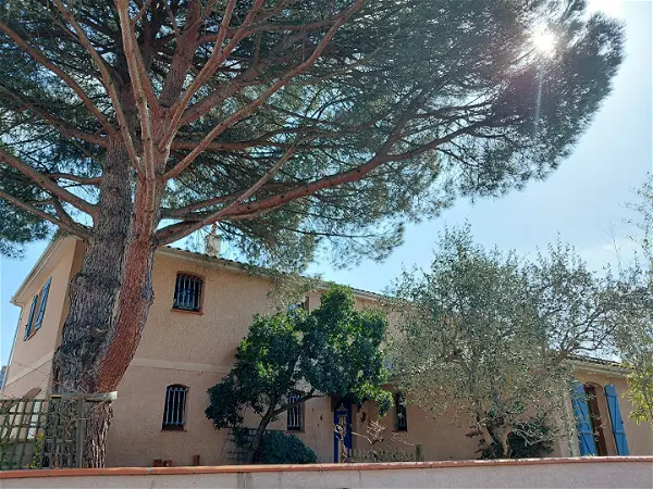 Achat maison 7 pièces - 216m² à Tournefeuille (31170)