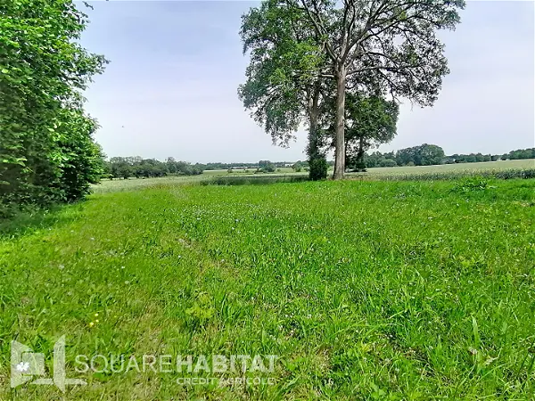 Terrain à vendre - PIPRIAC - 1361 m²