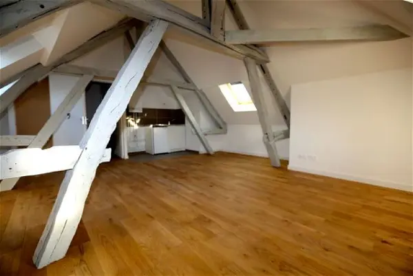 Appartement à louer - TROYES, 1 pièce