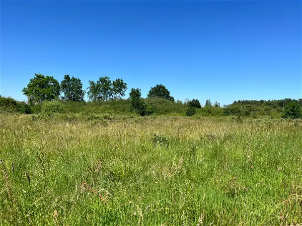 Terrain à vendre - SAINT MARTIN D ABBAT - 5089 m²