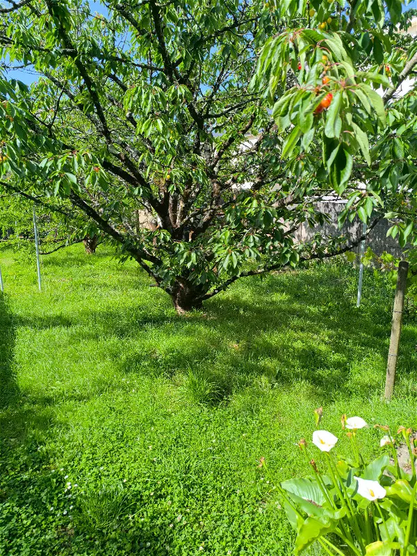 Maison à vendre - SAINT NAZAIRE, 5 pièces