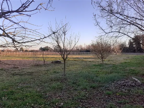 Terrain à vendre - SAINT PEY DE CASTETS - 1450 m²