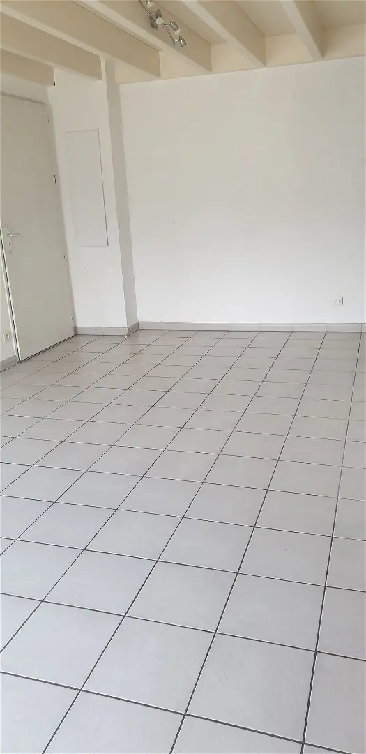 Appartement à louer - LE HAILLAN, 3 pièces