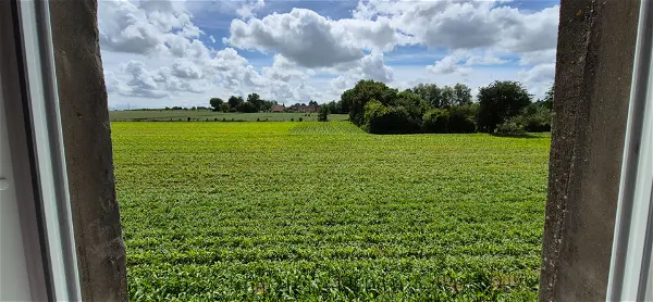 Achat maison 4 pièces - 110m² à Tilques (62500)