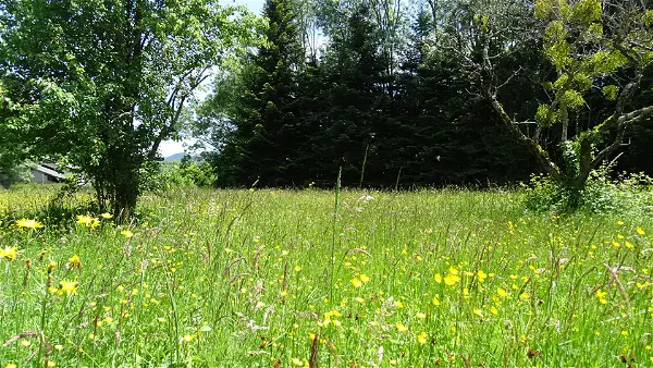 Achat terrain - 1917m² à Lavelanet (09300)
