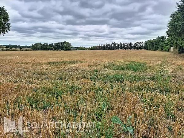 Terrain à vendre - PIPRIAC - 1614 m²