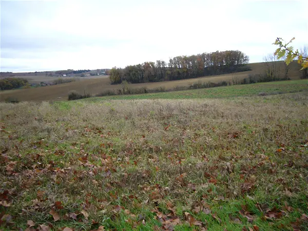 Achat terrain - 2925m² à Cadours (31480)