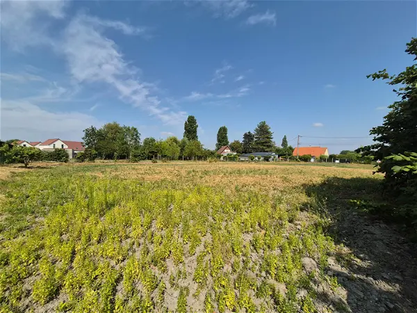 Achat terrain - 1138m² à Groffliers (62600)