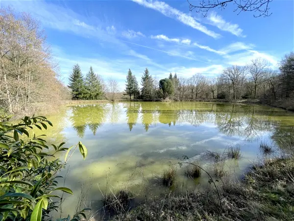 Terrain à vendre - DOMATS