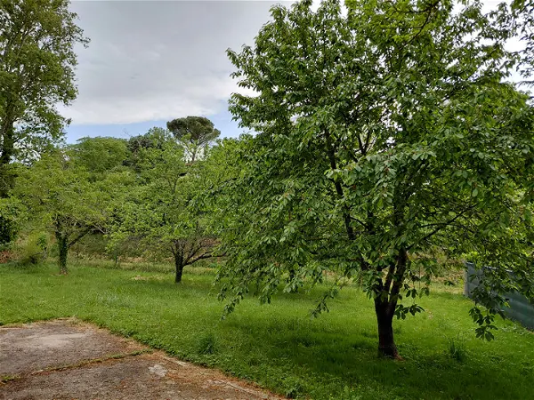 Maison à vendre - ROUFFIAC TOLOSAN, 6 pièces