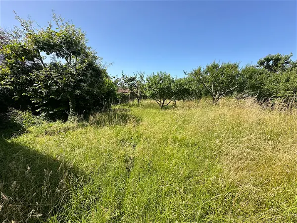 Achat terrain - 636m² à Villieu loyes mollon (01800)