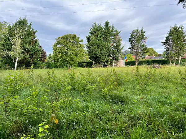 Terrain à vendre - SULLY LA CHAPELLE - 2012 m²