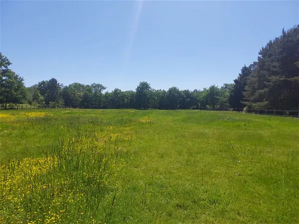 Terrain à vendre - 41200 - 8895 m²