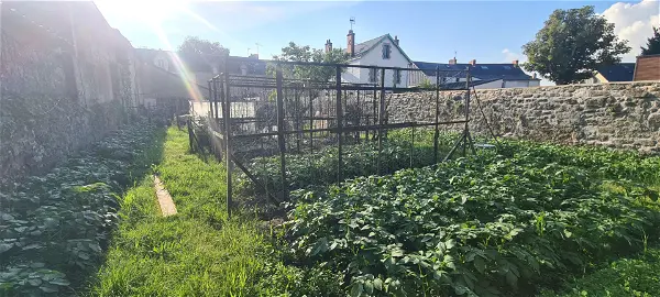 Terrain à vendre - GUERANDE - 550 m²